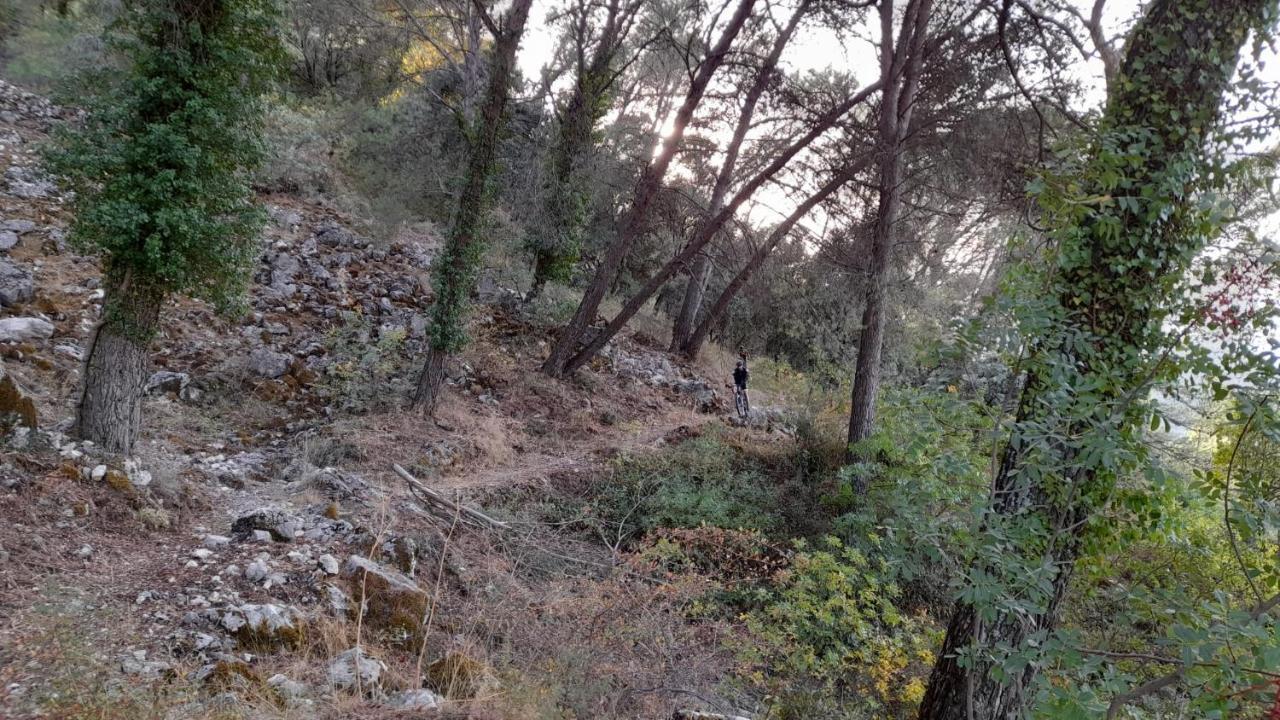 Casa Los Garcia Rute Kültér fotó